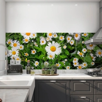 Küchenrückwand Folie Blumen Kamille