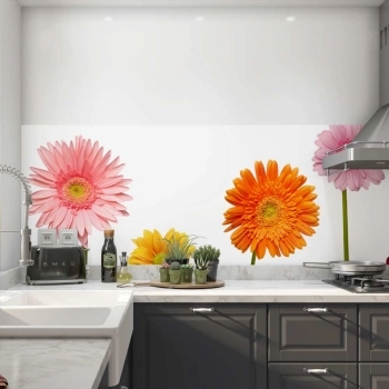 Küchenrückwand Folie Bunte Gerbera Blumen