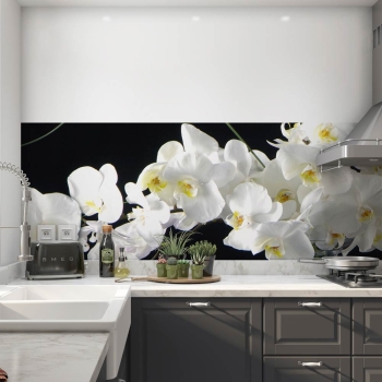 Küchenrückwand Folie Weiße Orchidee