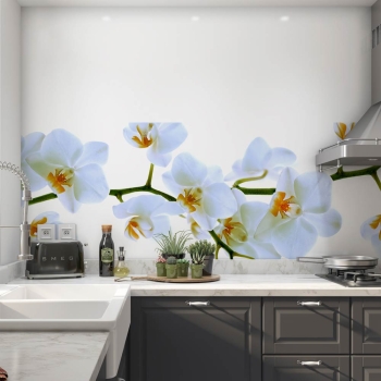 Küchenrückwand Folie Weiße Orchideen