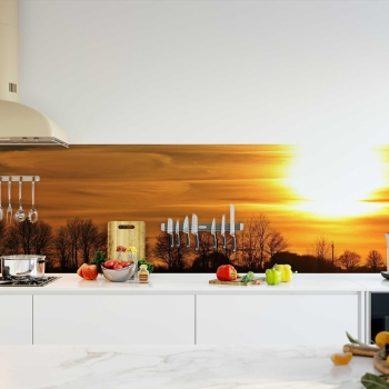 Küchenrückwand Folie Wald Sonnenuntergang Bild 2