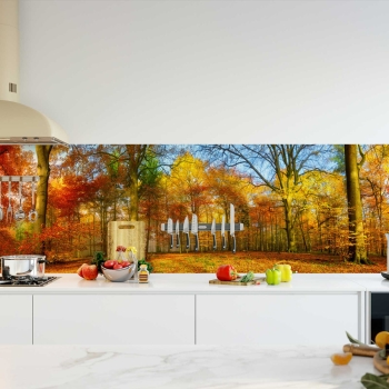 Küchenrückwand Folie Herbst Wald Bild 2