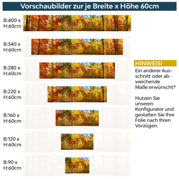 Küchenrückwand Folie Herbst Wald Vorschaubilder 60cm