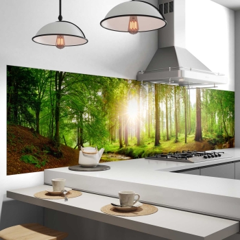 Küchenrückwand Folie Wald in Sonnenschein Bild 2