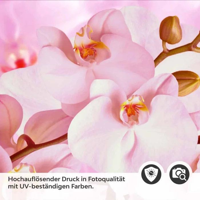 Küchenrückwand Folie rosa Orchideen Detailbild 2