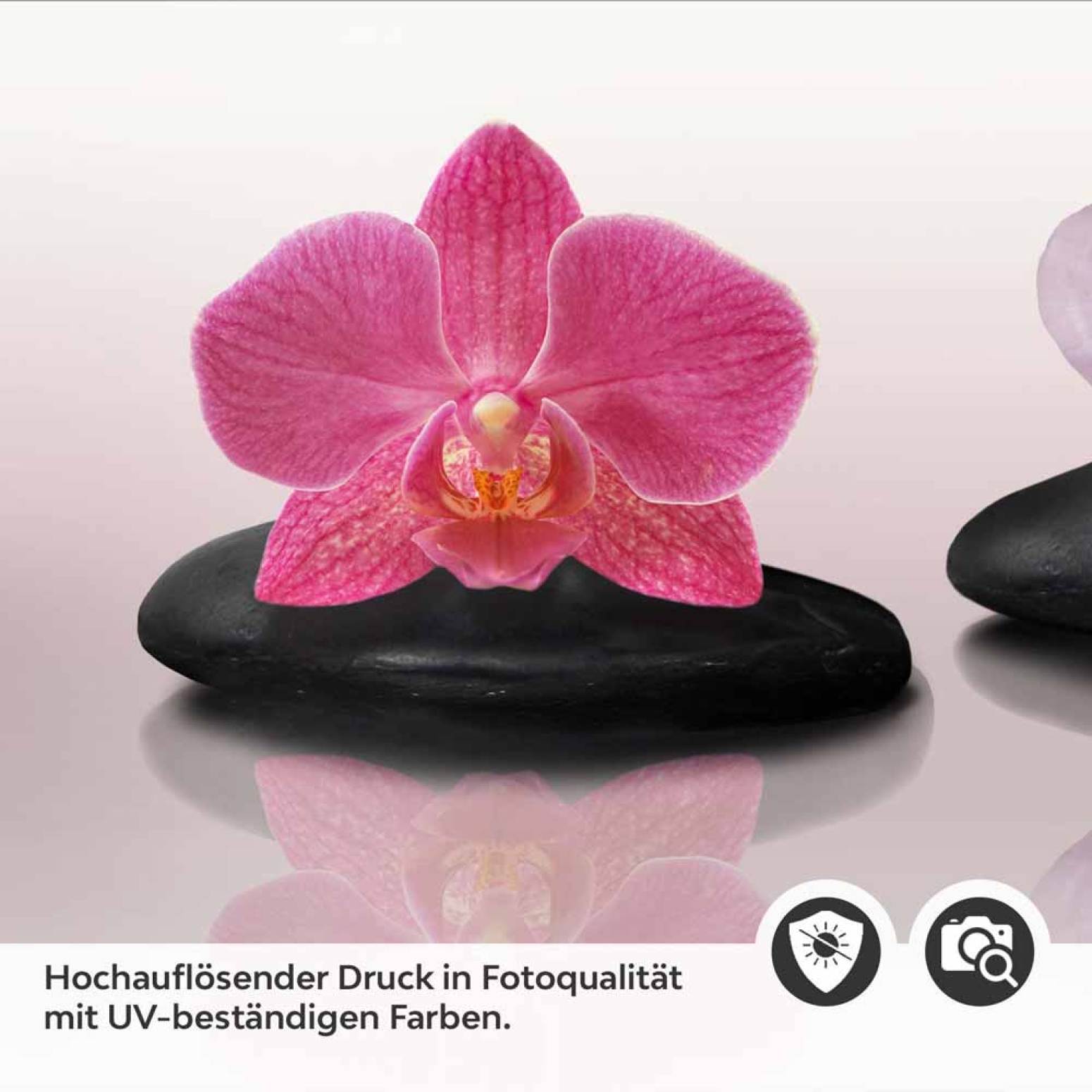 Küchenrückwand Folie Orchidee & Zen Steine Detailbild 2