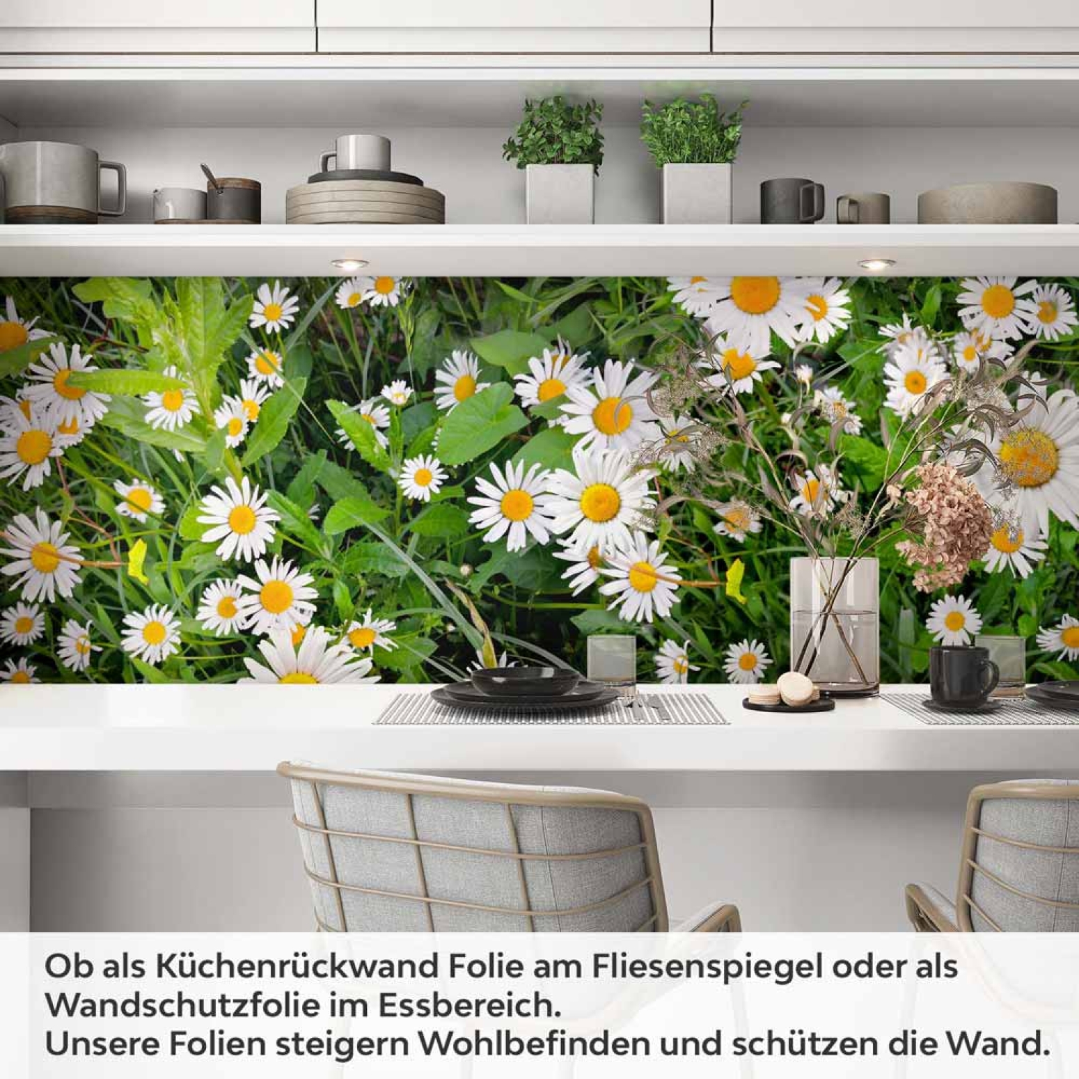 Küchenrückwand Folie Margeriten Blumen Artikelbild 1