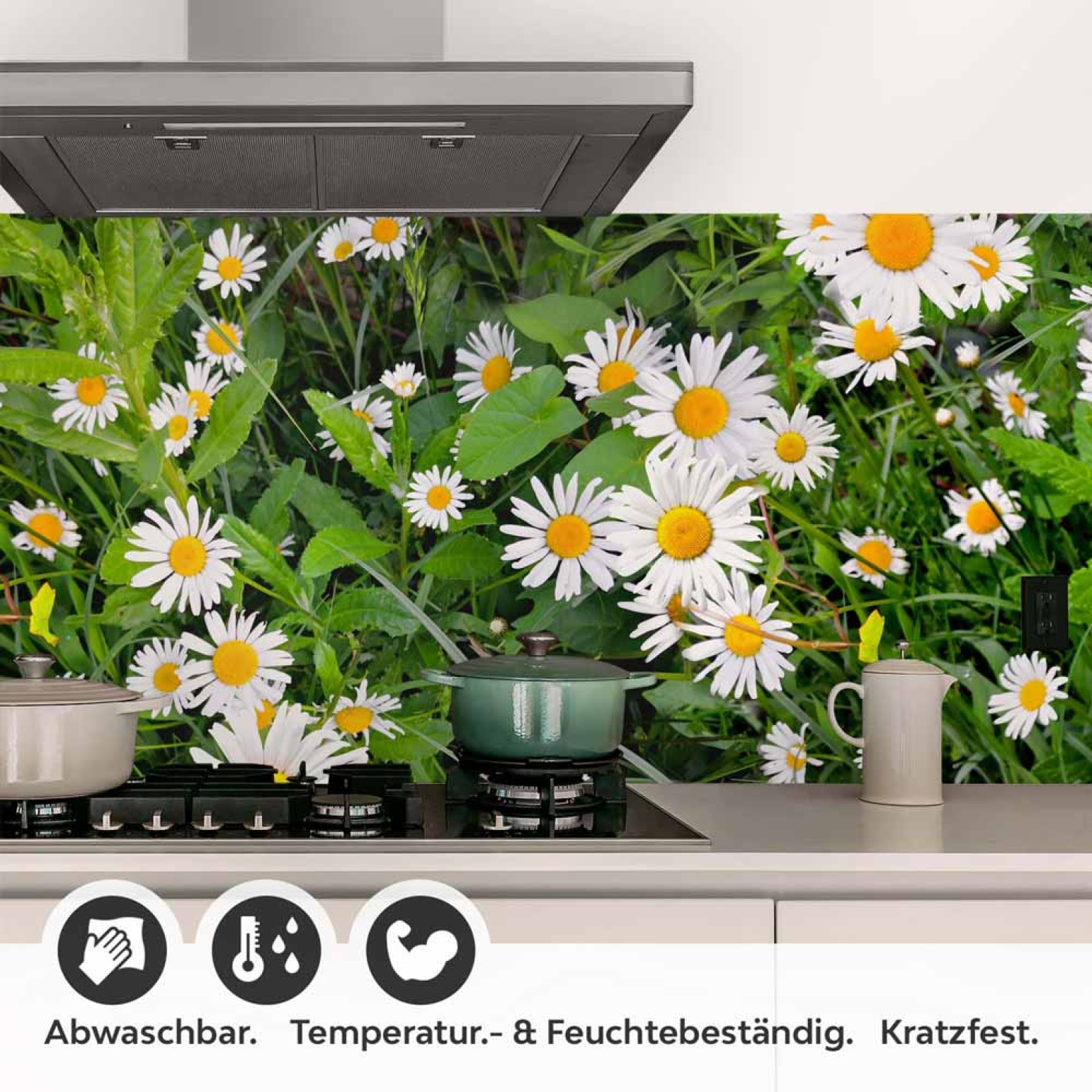 Küchenrückwand Folie Margeriten Blumen Detailbild 1