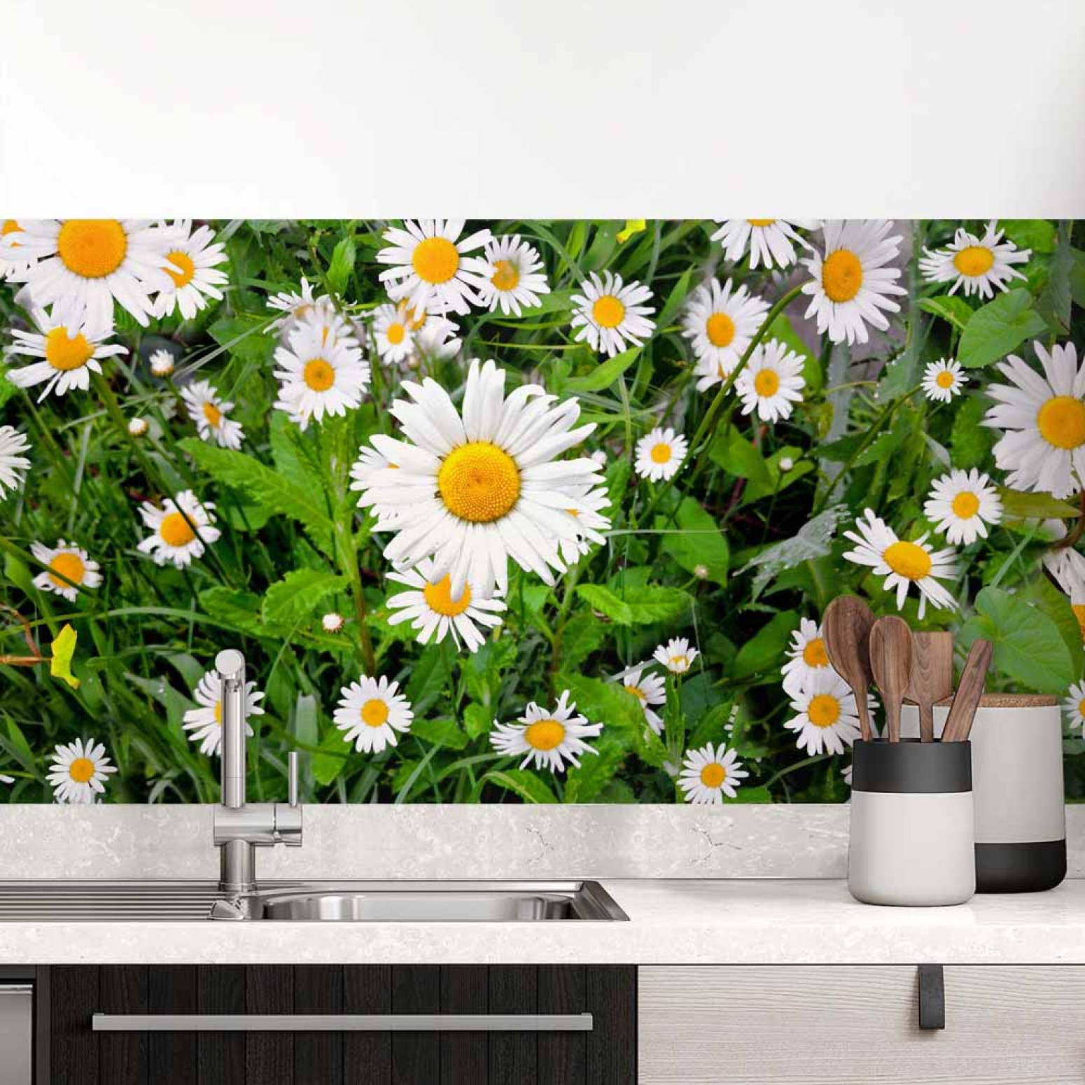 Küchenrückwand Folie Margeriten Blumen