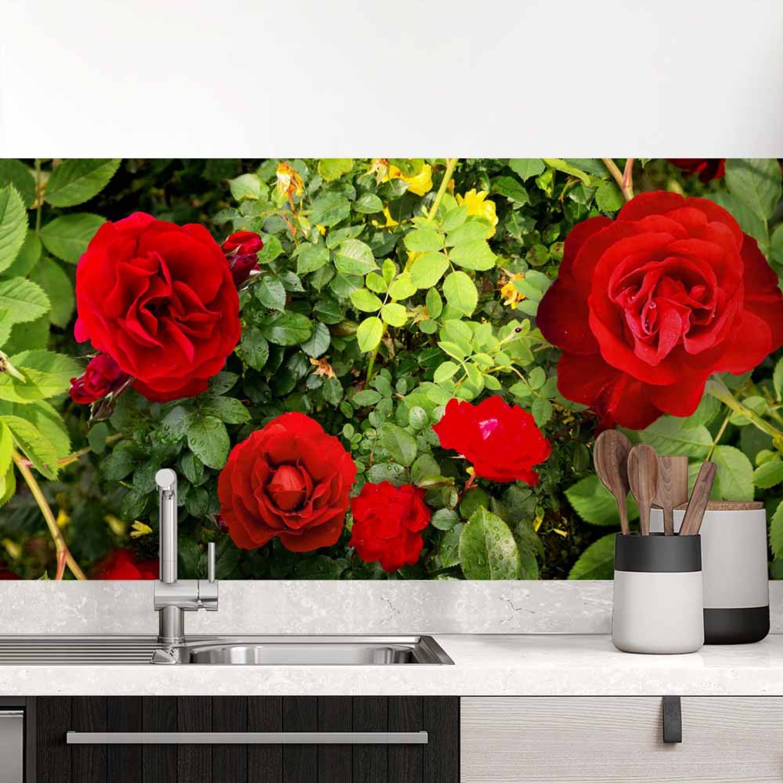 Küchenrückwand Folie rote Rosen