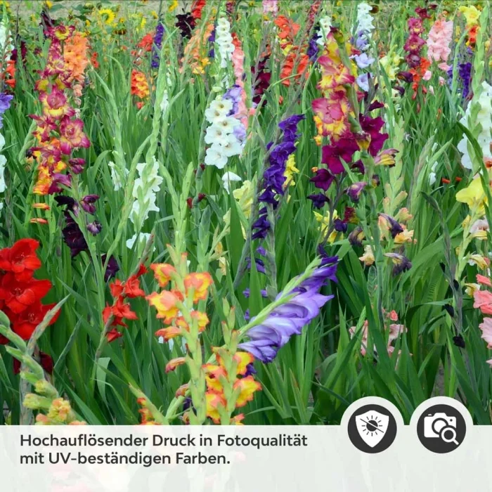 Küchenrückwand Folie bunte Blumen & Wiese Detailbild 2