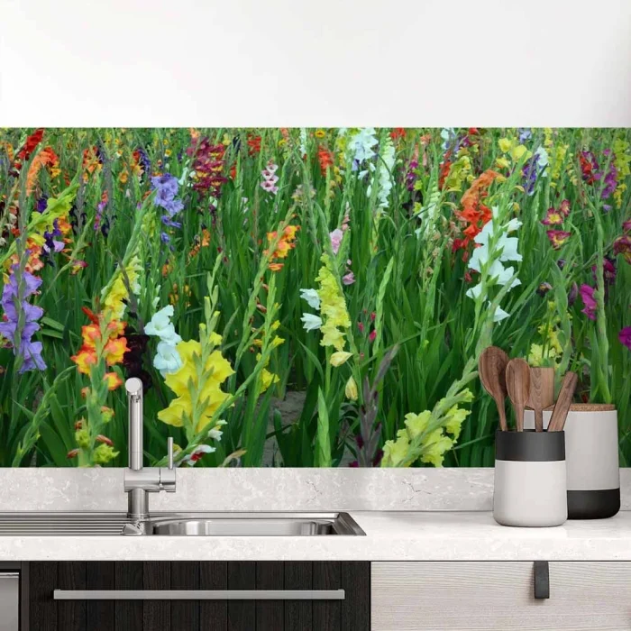 Küchenrückwand Folie bunte Blumen & Wiese Hauptbild 1