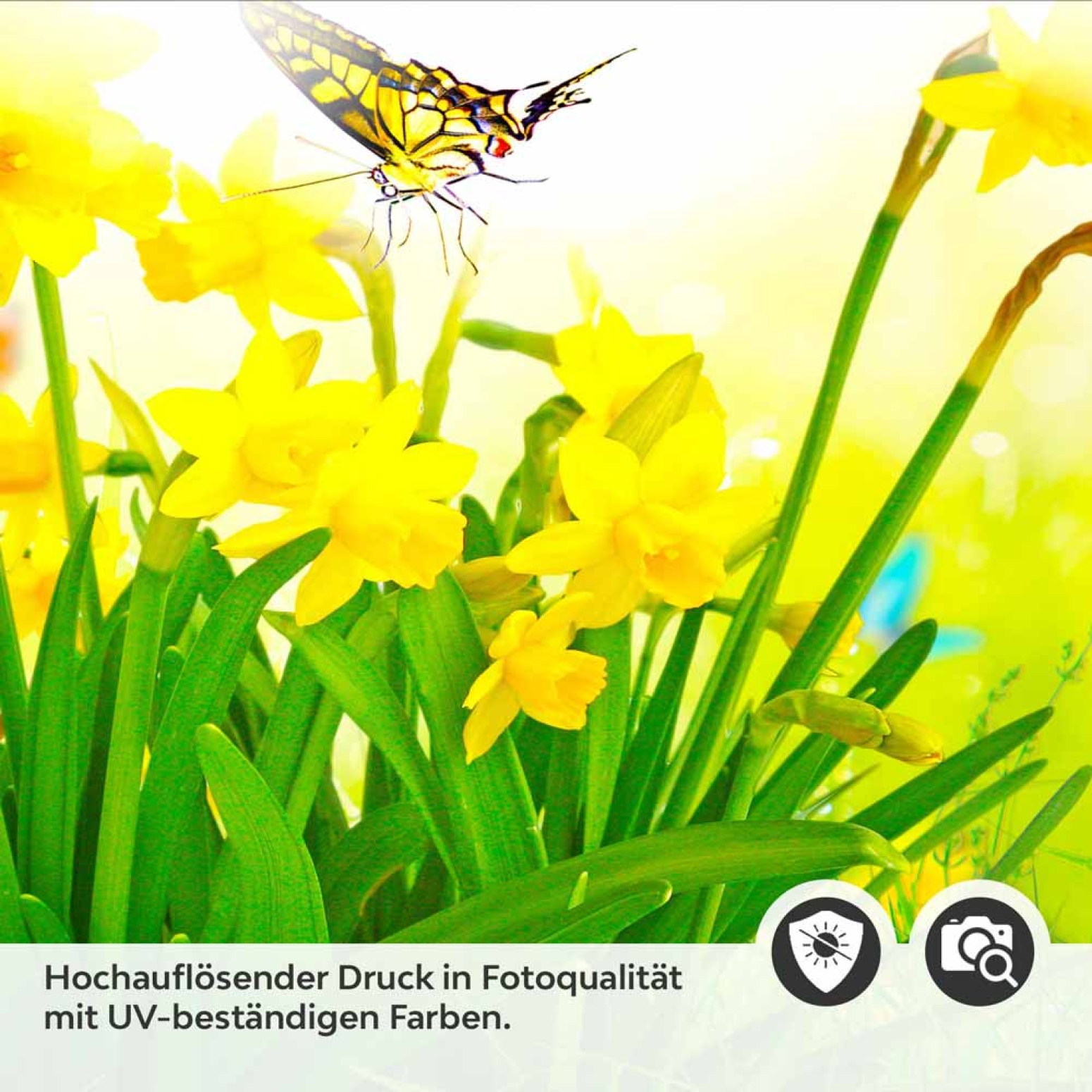 Küchenrückwand Folie Tulpen & Schmetterlinge Detailbild 2