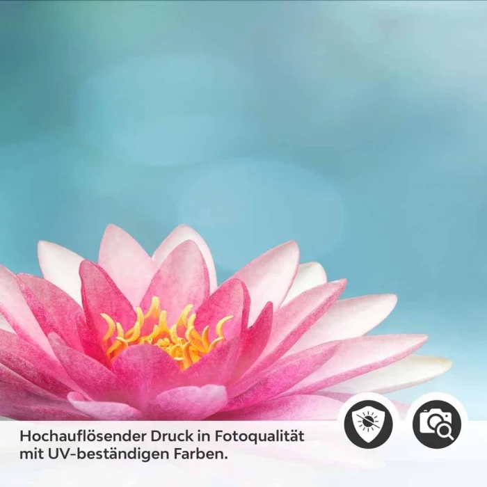 Küchenrückwand Folie Seerose & Zen-Steine Detailbild 2