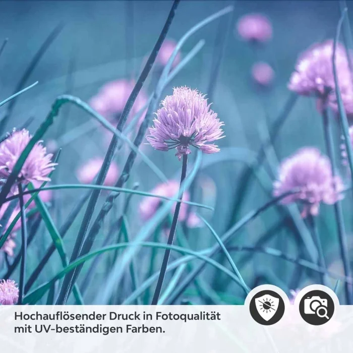 Küchenrückwand Folie Frühlingszwiebel Blüte Detailbild 2