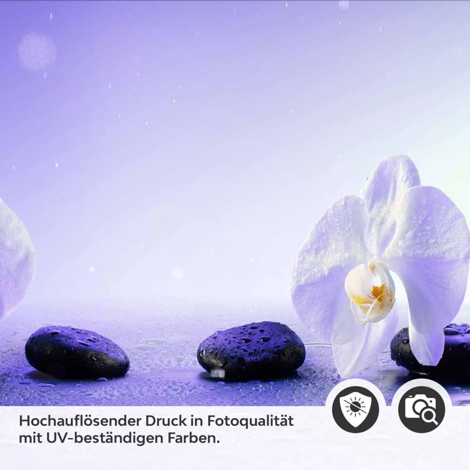 Küchenrückwand Folie Orchideen in Harmonie Detailbild 2
