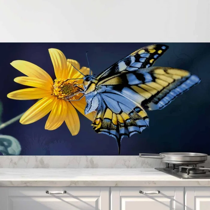Küchenrückwand Folie Sonnenauge & Schmetterling Hauptbild
