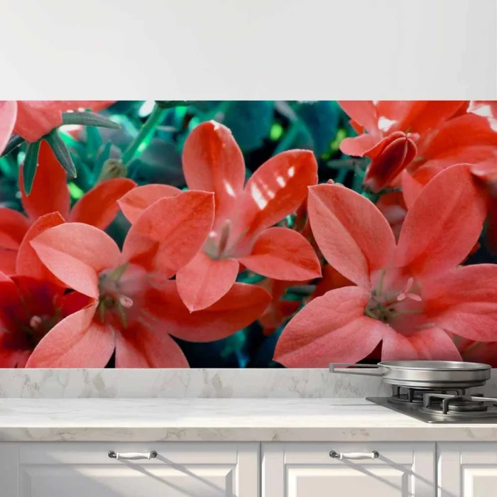 Küchenrückwand Folie rotes Blütenmeer Hauptbild