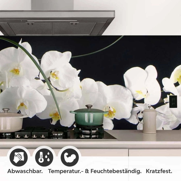 Küchenrückwand Folie weiße Orchideen - Eleganz auf dunklem Hintergrund Detailbild 1