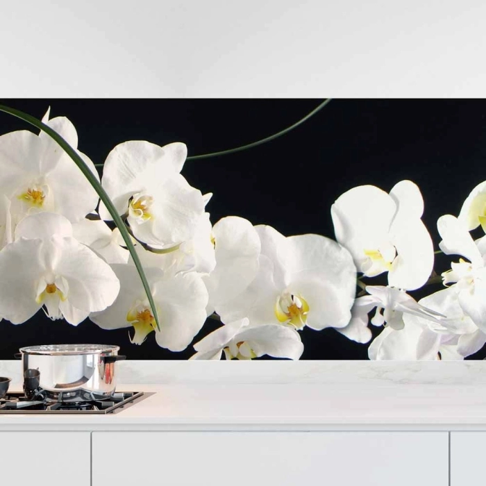 Küchenrückwand Folie weiße Orchideen - Eleganz auf dunklem Hintergrund Hauptbild