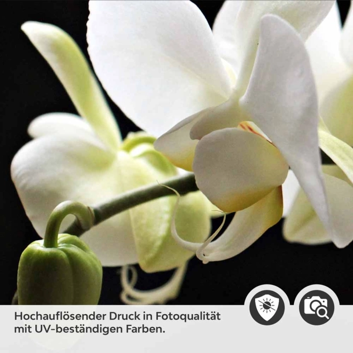 Küchenrückwand Folie weiße Orchideen - Zeitloser Stil für moderne Küchen Detailbild 2
