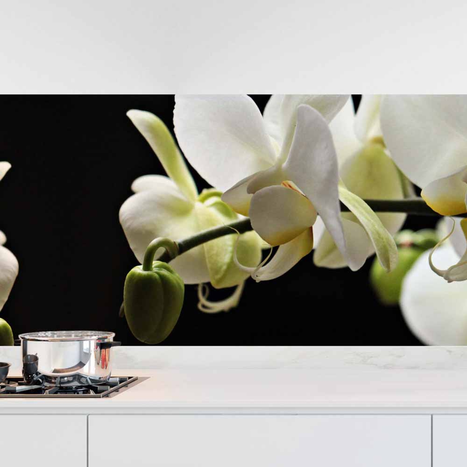 Küchenrückwand Folie weiße Orchideen - Zeitloser Stil für moderne Küchen