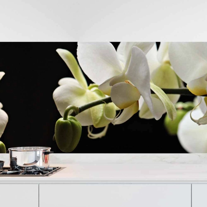 Küchenrückwand Folie weiße Orchideen - Zeitloser Stil für moderne Küchen Hauptbild