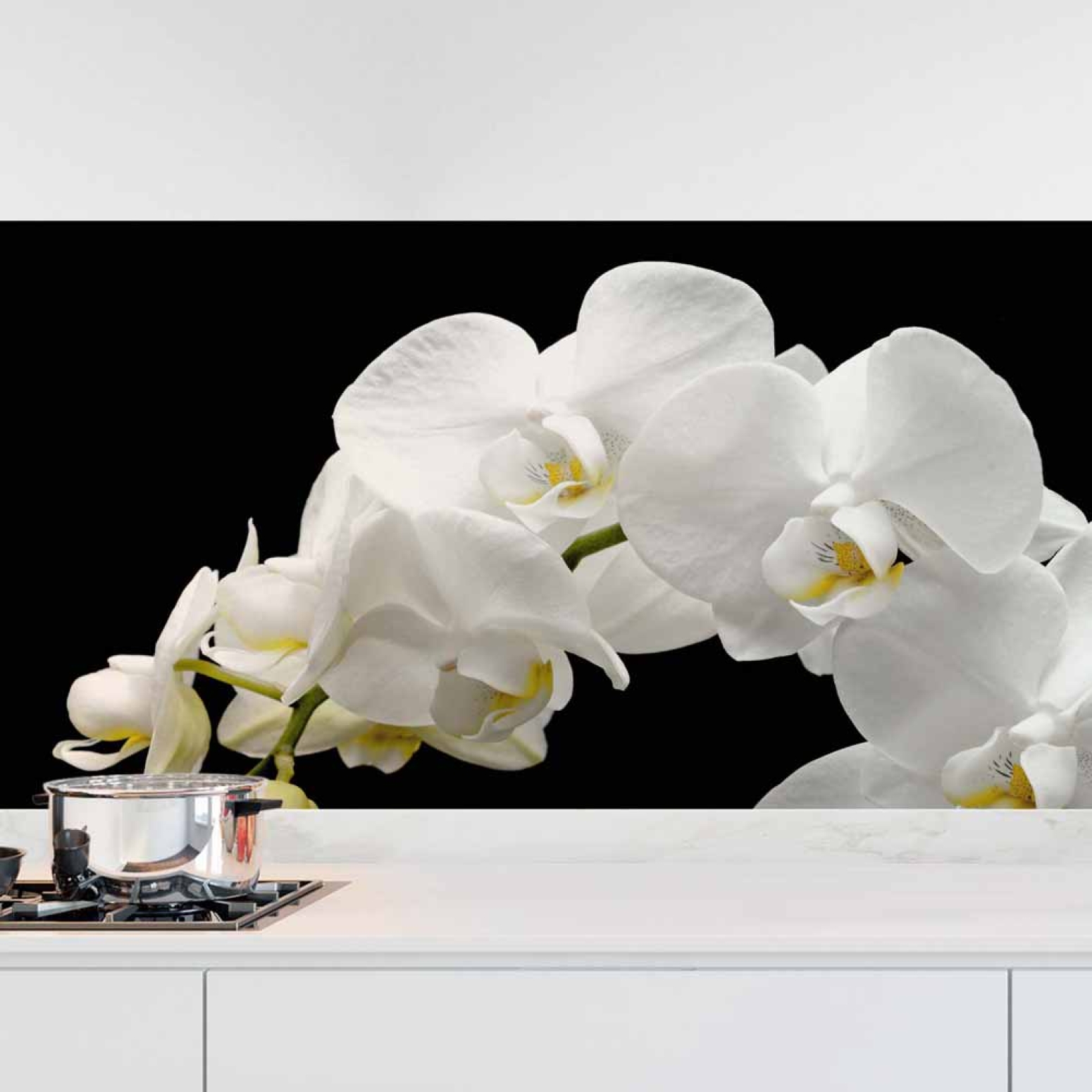 Küchenrückwand Folie Orchideen Weiß - Design mit edlen Akzenten