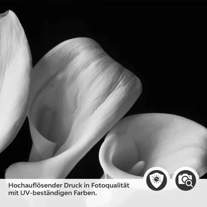 Küchenrückwand Folie monochrome Blumen - Stilvolle Calla-Lilien Detailbild 2