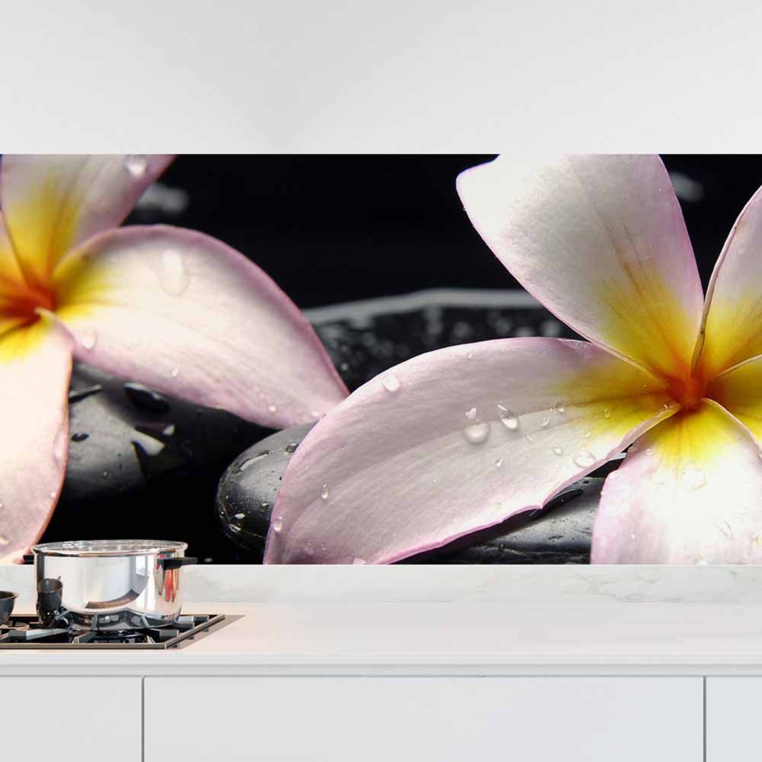 Küchenrückwand Folie Plumeria-Blüten