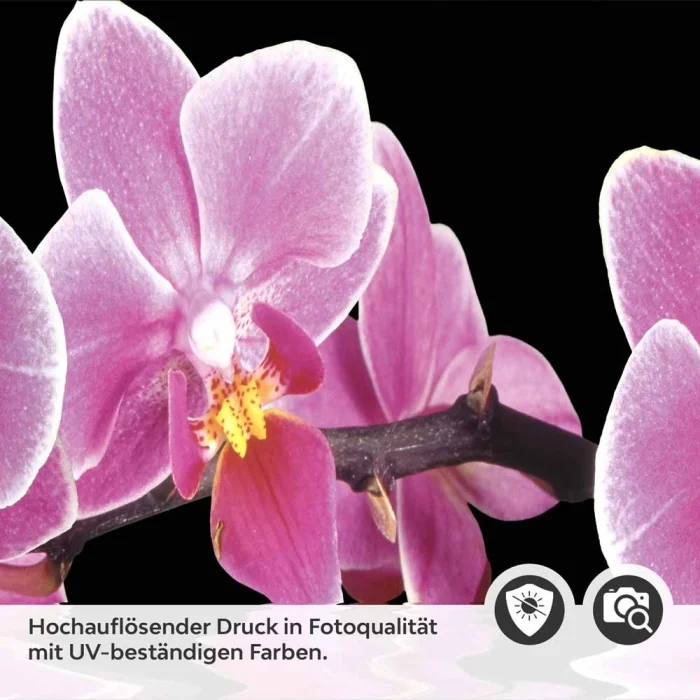 Küchenrückwand Folie Orchideen Pink - Pink auf Schwarz Detailbild 2