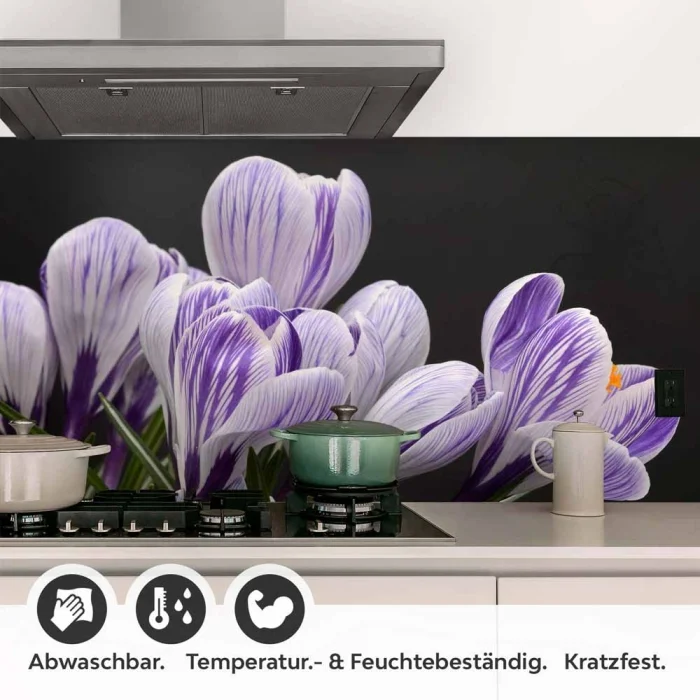 Küchenrückwand Folie Krokusblüten - edles Lila auf Schwarz Detailbild 1