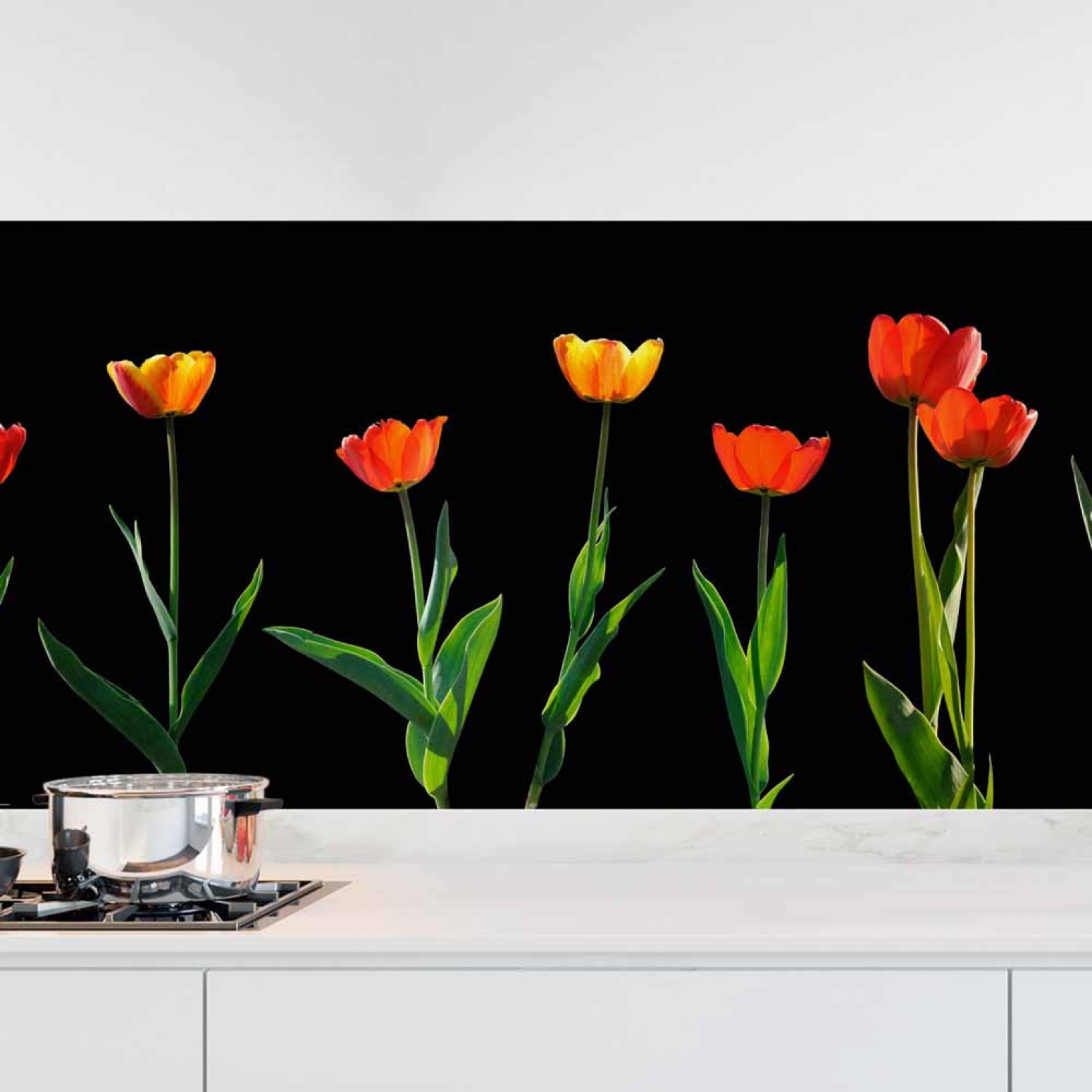 Küchenrückwand Folie rote Tulpen