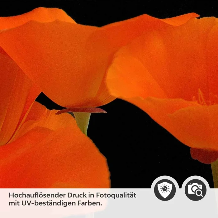 Küchenrückwand Folie orange Mohnblumen Detailbild 2