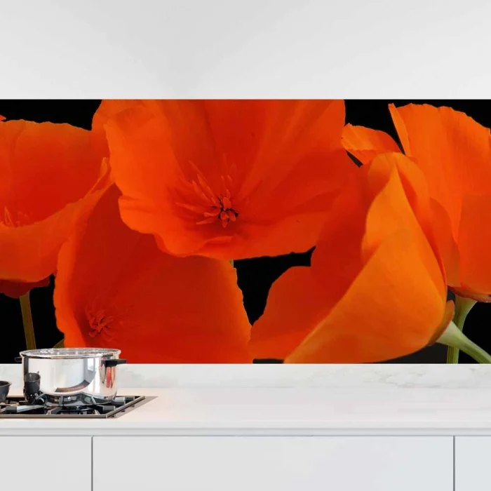 Küchenrückwand Folie orange Mohnblumen Hauptbild