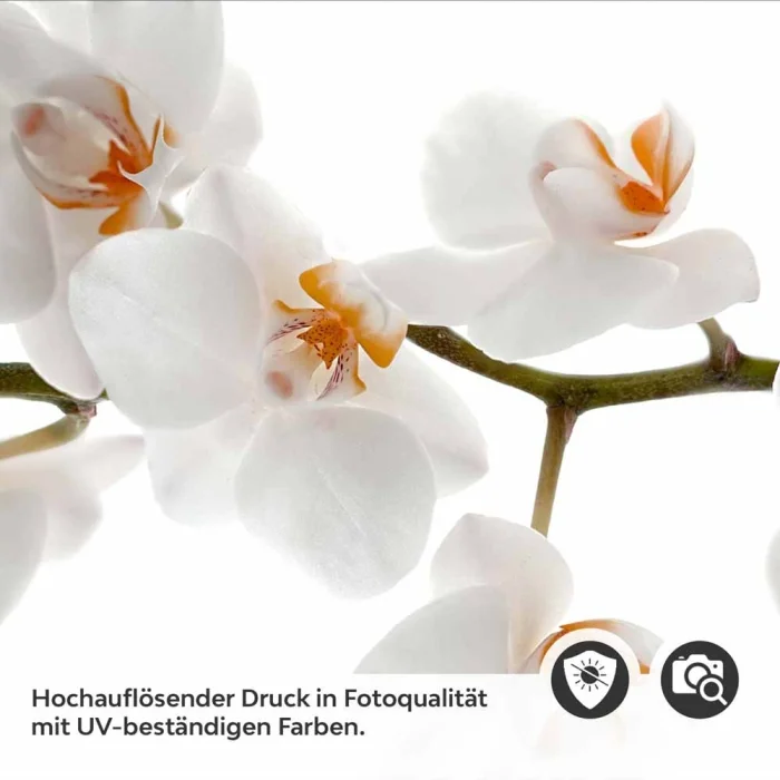 Küchenrückwand Folie Weiße Orchideen – Harmonie für Ihre Küche Detailbild 2