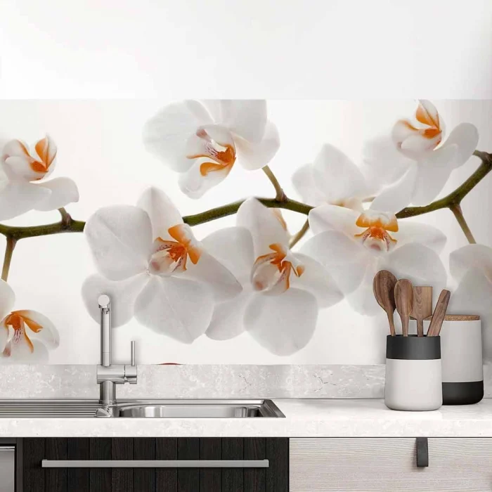 Küchenrückwand Folie Weiße Orchideen – Harmonie für Ihre Küche Hauptbild