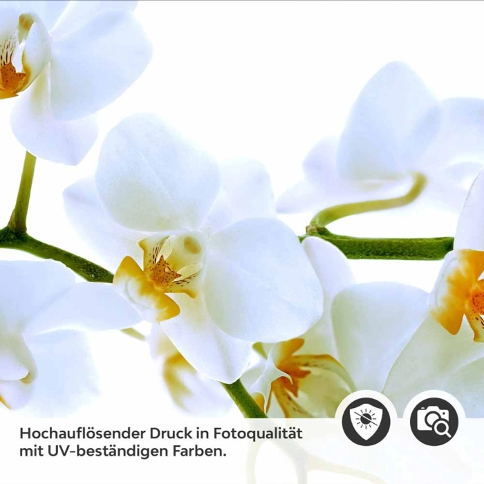 Küchenrückwand Folie Weiße Blüten – Perfekt für moderne Küchen Detailbild 2