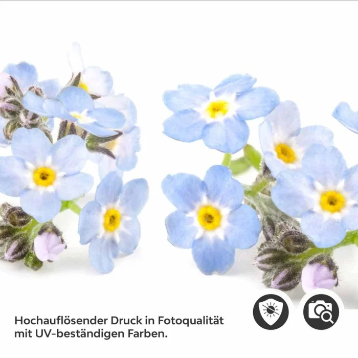 Küchenrückwand Folie Vergissmeinnicht – Zeitlose Eleganz in Blau Detailbild 2