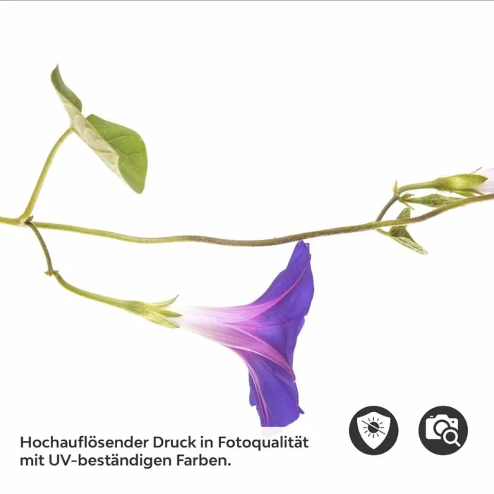 Küchenrückwand Folie Rankenblüten - Natürliche Schönheit für Ihre Wand Detailbild 2