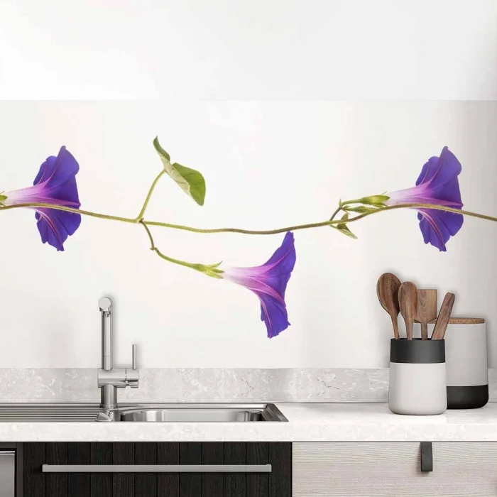 Küchenrückwand Folie Rankenblüten - Natürliche Schönheit für Ihre Wand Hauptbild