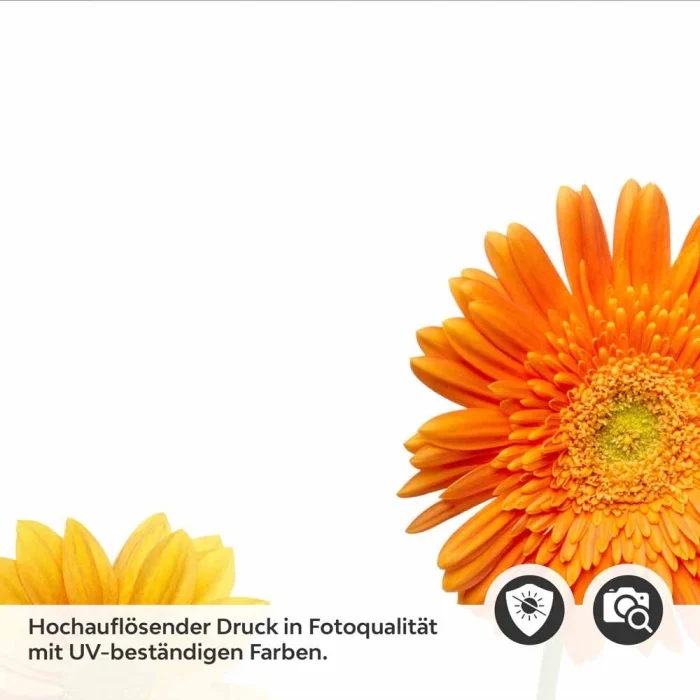 Küchenrückwand Folie Blumentraum - Fröhliche Gerbera für Ihre Küche Detailbild 2