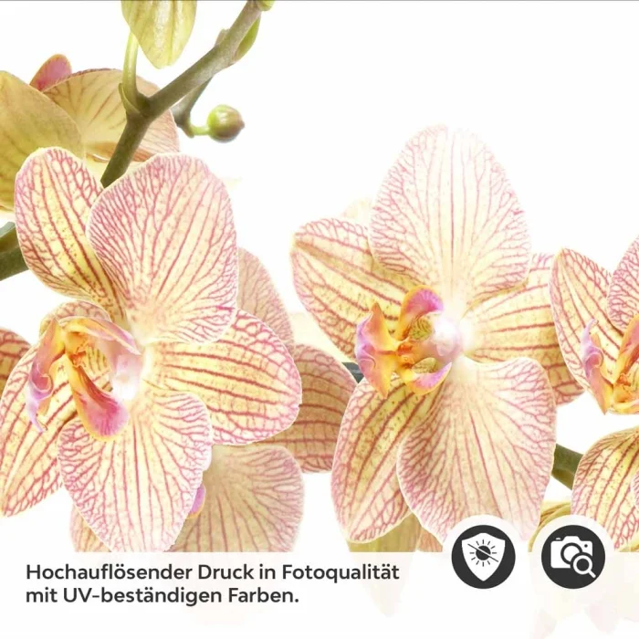 Küchenrückwand Folie Orchideenblüten Detailbild 2