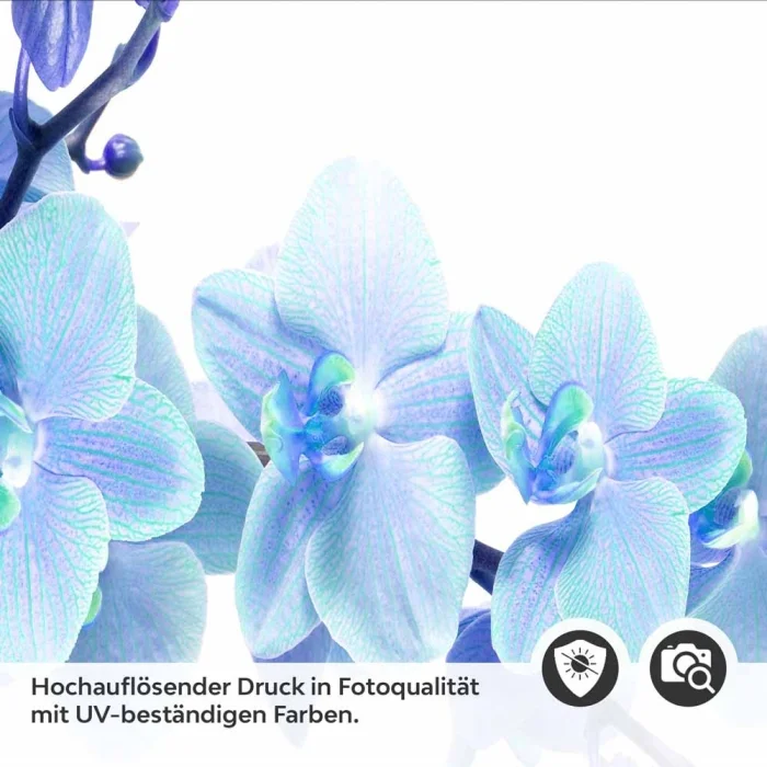 Küchenrückwand Folie Orchideenmotiv Detailbild 2
