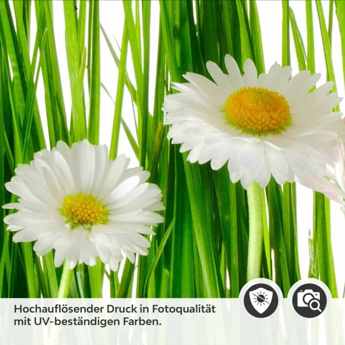 Küchenrückwand Folie Gänseblümchen Detailbild 2