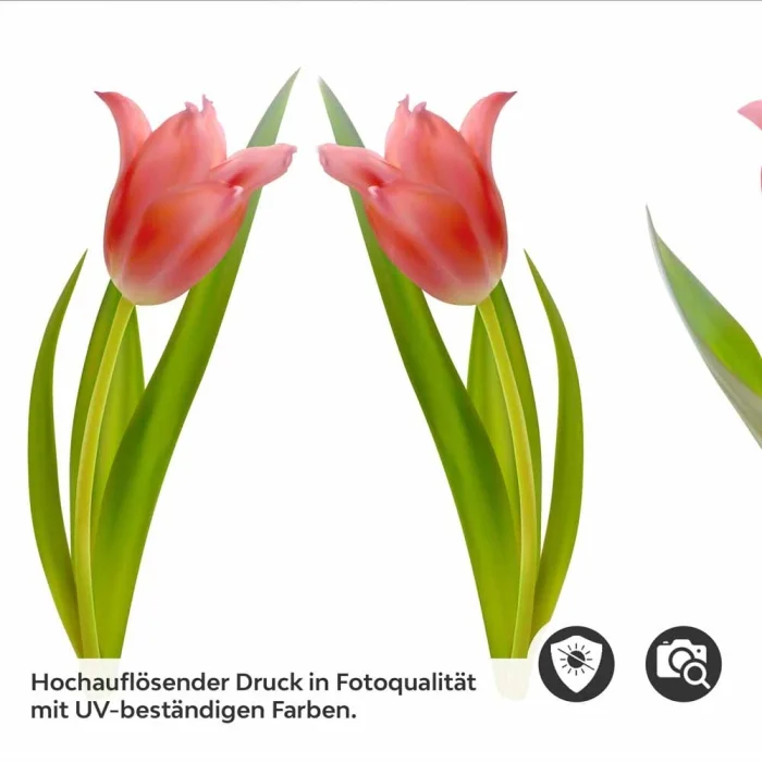 Küchenrückwand Folie Tulpenblüten Detailbild 2