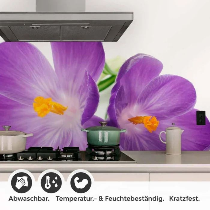Küchenrückwand Folie violette Krokusse Detailbild 1