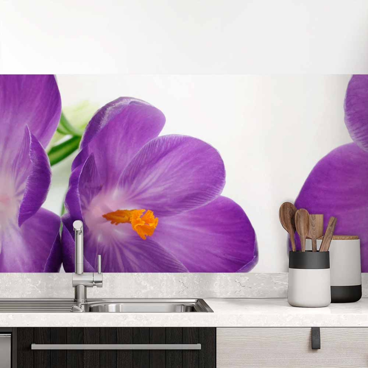 Küchenrückwand Folie violette Krokusse
