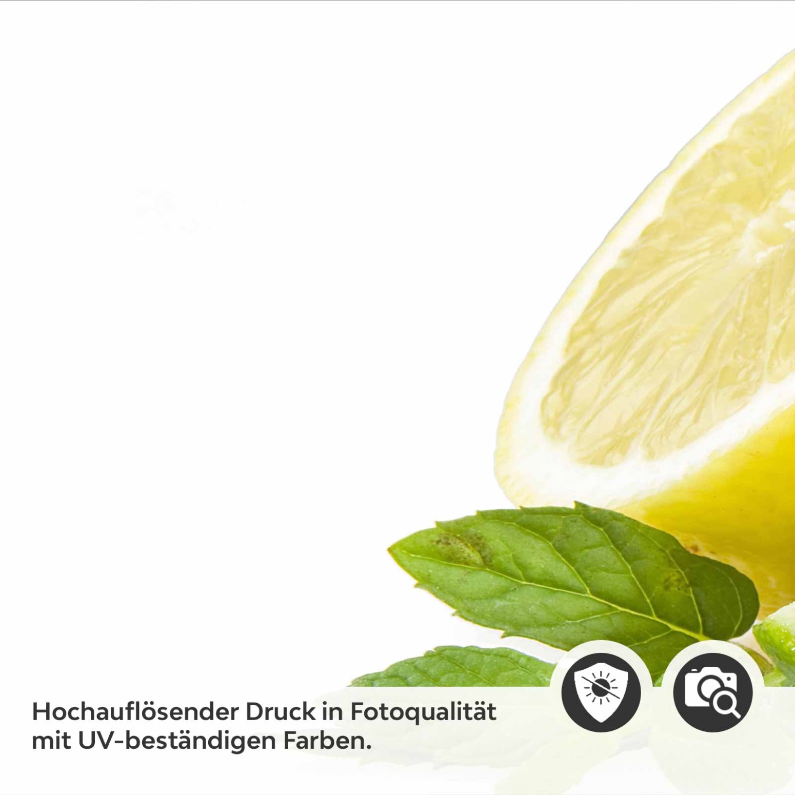 Küchenrückwand Folie Zitrusfrucht Detailbild 2