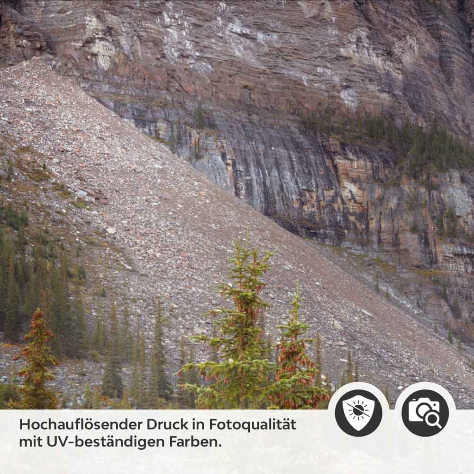 Küchenrückwand Folie Gebirgspanorama, Fluss & Fichtenwald Detailbild 2